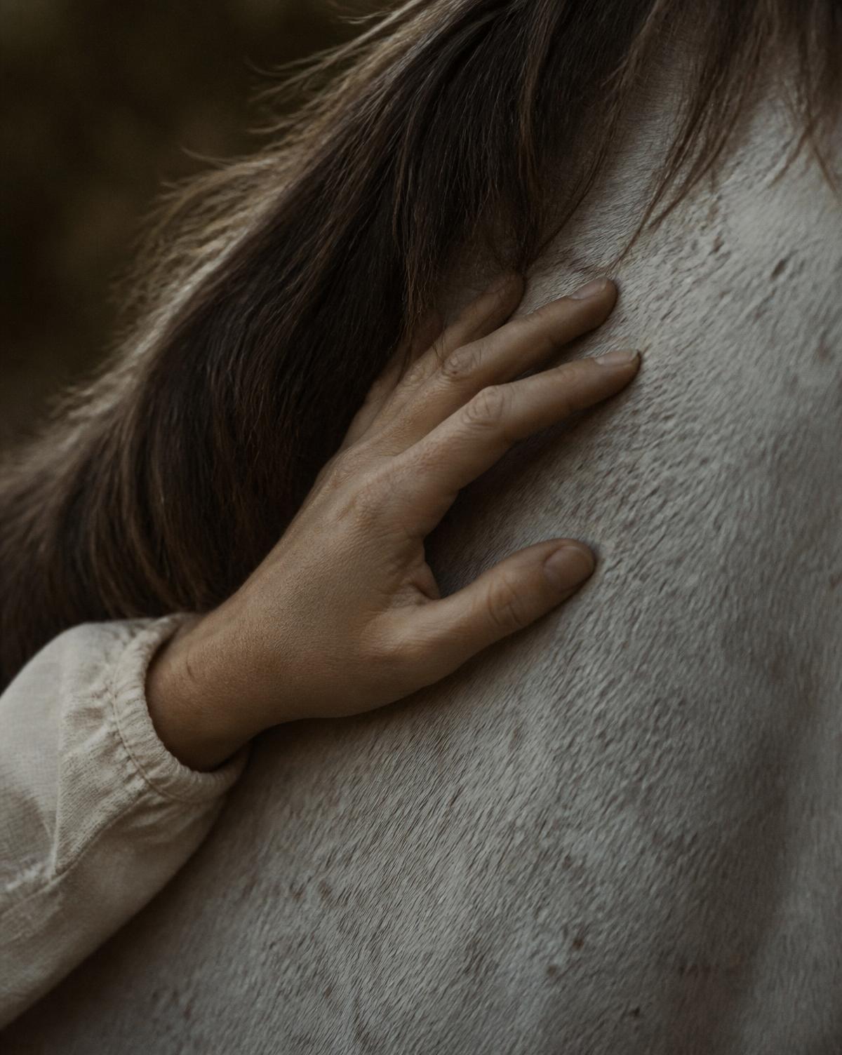 A hand resting on a horse's neck